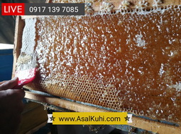 عسل سرپولک چیست ؟