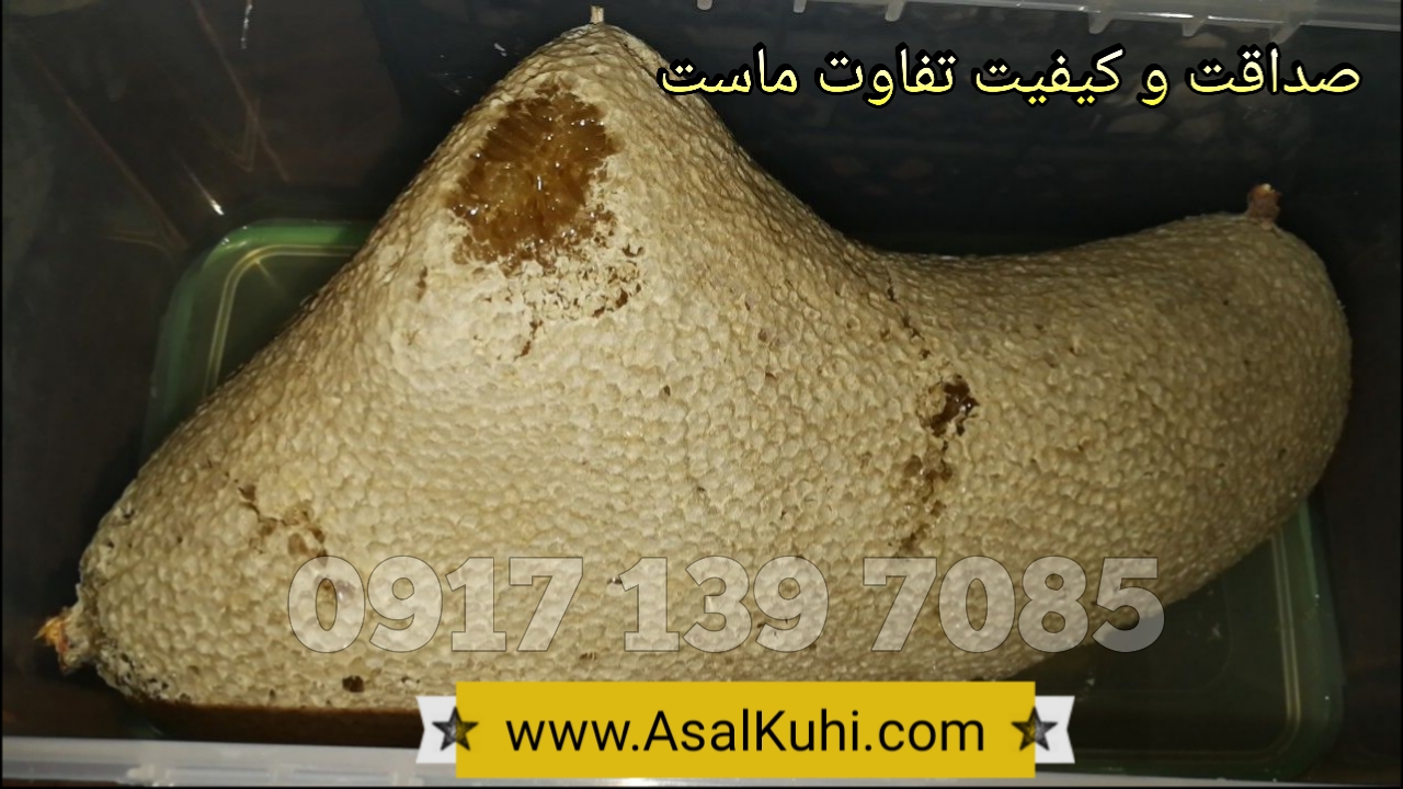 عسل وحشی فروش