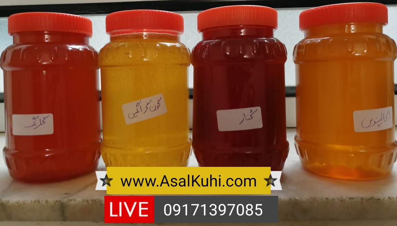 قیمت خرید عسل طبیعی